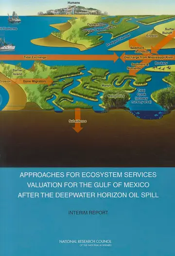 Cover of Approaches for Ecosystem Services Valuation for the Gulf of Mexico After the Deepwater Horison Oil Spill