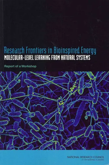 Cover of Research Frontiers in Bioinspired Energy