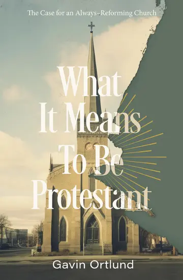 Cover of What It Means to Be Protestant