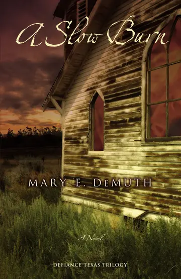 Cover of A Slow Burn
