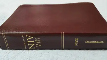 Cover of Zondervan Study Bible