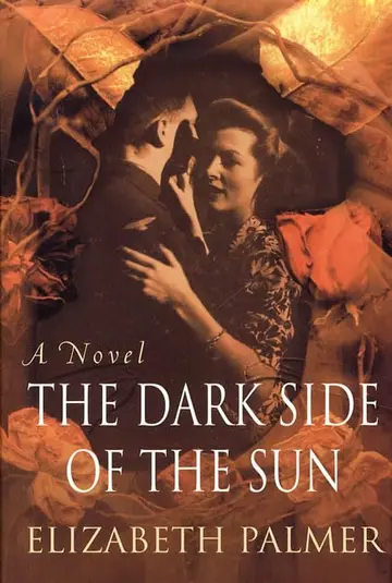 Cover of The Dark Side of the Sun