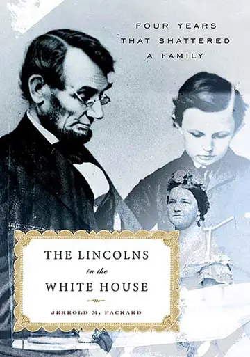 Cover of The Lincolns in the White House