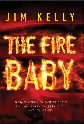 Cover of The Fire Baby