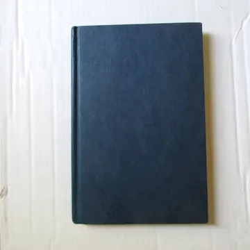 Cover of The Godsend