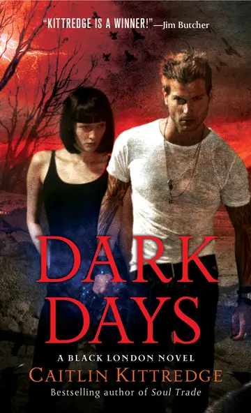 Cover of Dark Days
