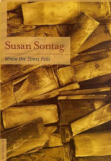 Cover of Where the Stress Falls