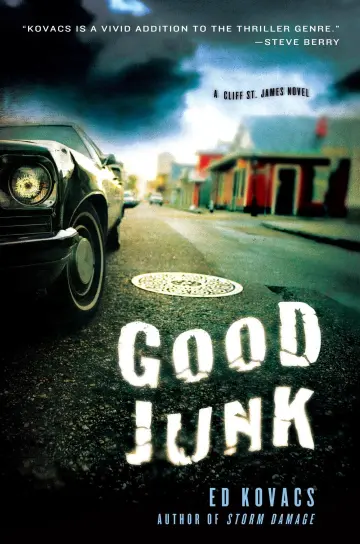 Cover of Good Junk