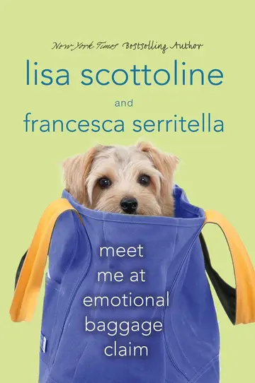 Cover of Meet Me at Emotional Baggage Claim