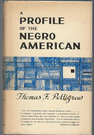 Cover of A Profile of the Negro American
