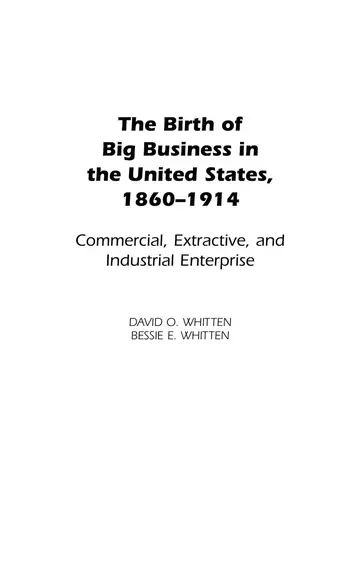 Cover of The Birth of Big Business in the United States, 1860-1914