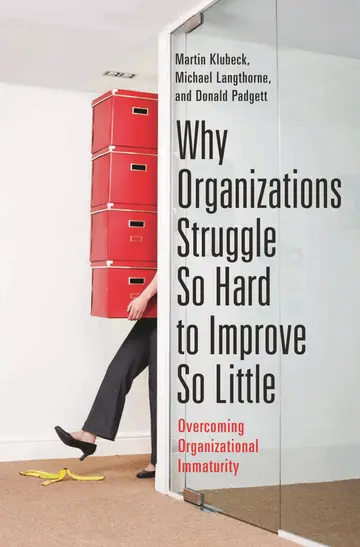 Cover of Why Organizations Struggle So Hard to Improve So Little