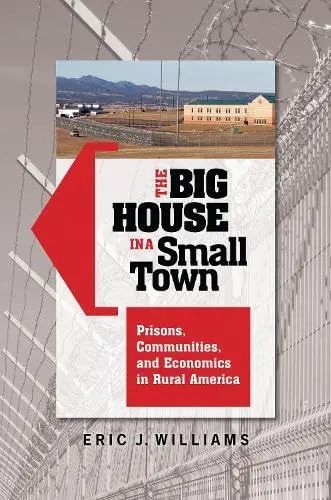 Cover of The Big House in a Small Town