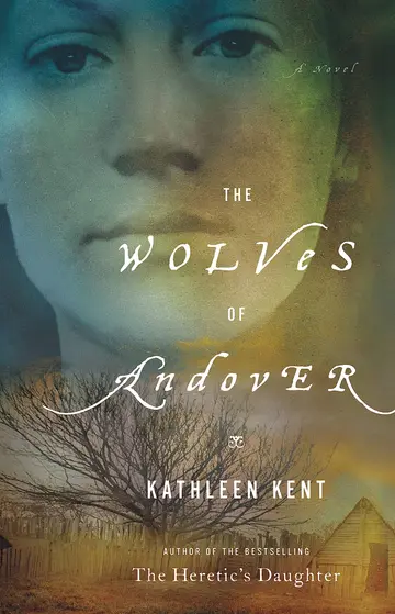Cover of The Wolves of Andover
