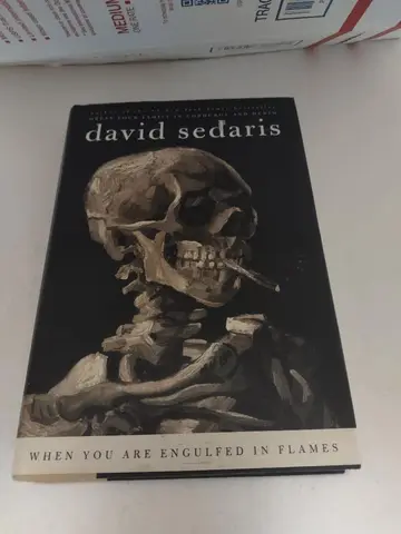 Cover of When You Are Engulfed in Flames