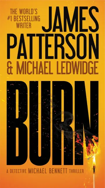 Cover of Burn