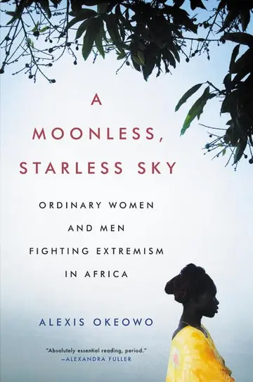 Cover of A Moonless, Starless Sky