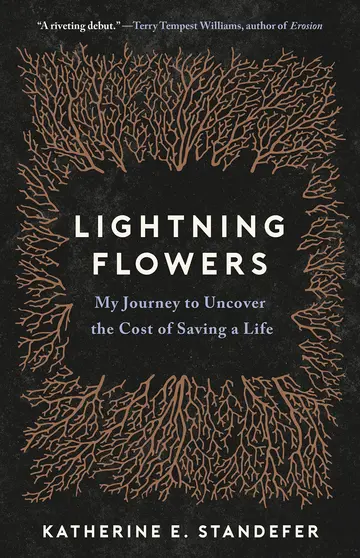 Cover of Lightning Flowers