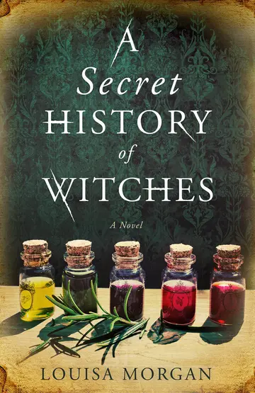 Cover of A Secret History of Witches
