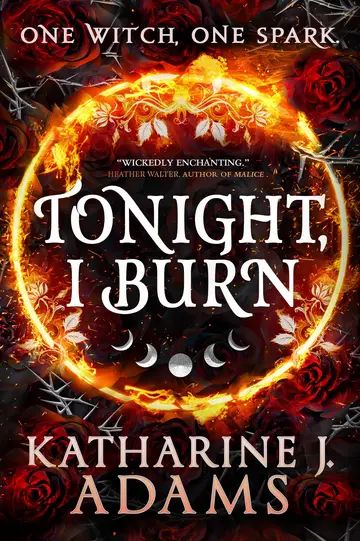 Cover of Tonight, I Burn