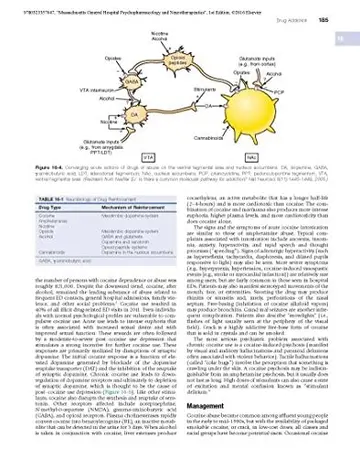 Cover of Massachusetts General Hospital Psychopharmacology and Neurotherapeutics