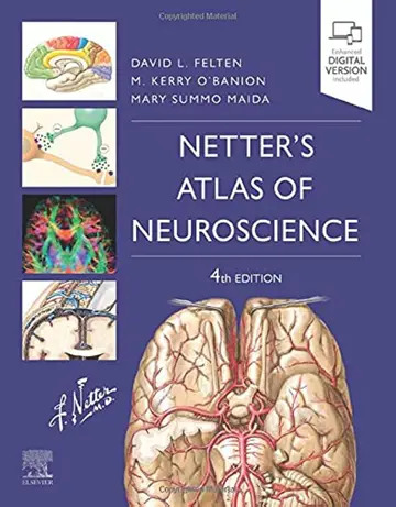 Cover of Netters Atlas of Neuroscience 4Ed