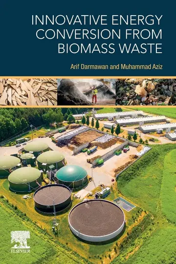 Cover of Innovative Energy Conversion from Biomass Waste