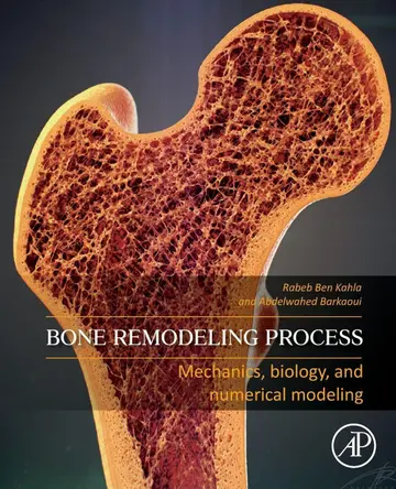 Cover of Bone Remodeling Process