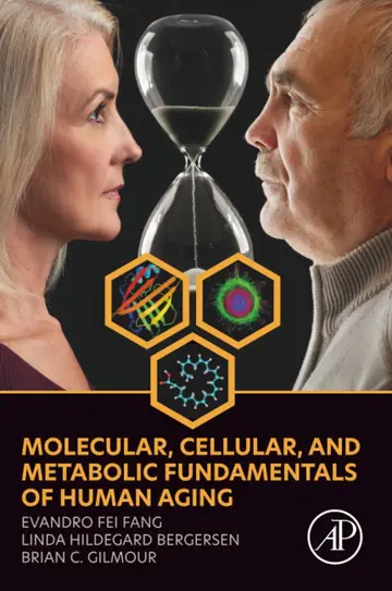 Cover of Molecular, Cellular, and Metabolic Fundamentals of Human Aging