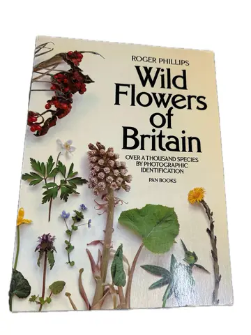 Cover of Wild Flowers of Britain