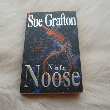 Cover of N is for Noose