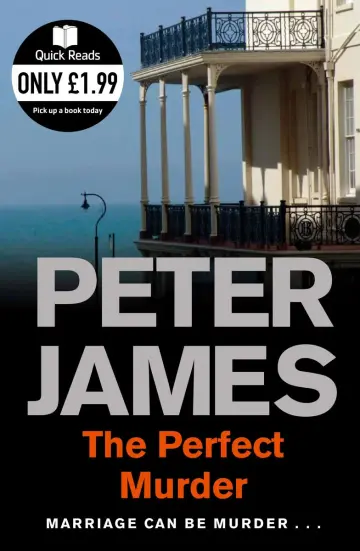 Cover of The Perfect Murder