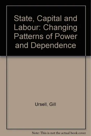 Cover of State, Capital and Labour