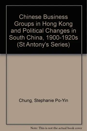 Cover of Chinese Business Groups in Hong Kong and Political Changes in South China, 1900-1920s