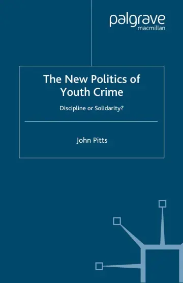 Cover of The New Politics of Youth Crime