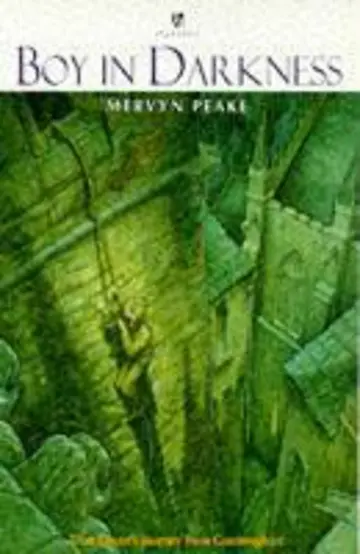 Cover of Boy in Darkness