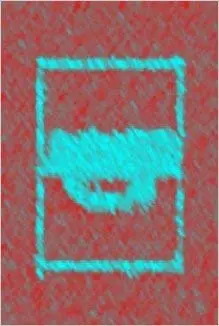 Cover of Detectionary
