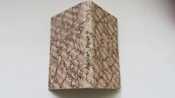 Cover of Practical English