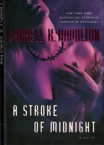 Cover of A Stroke of Midnight