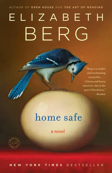 Cover of Home Safe