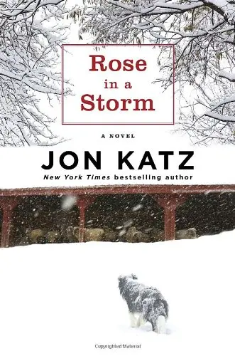 Cover of Rose in a Storm