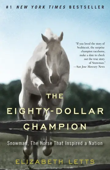 Cover of Eighty Dollar Champion