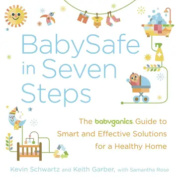 Cover of BabySafe in Seven Steps