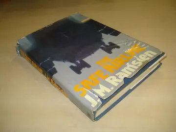 Cover of The safe airline