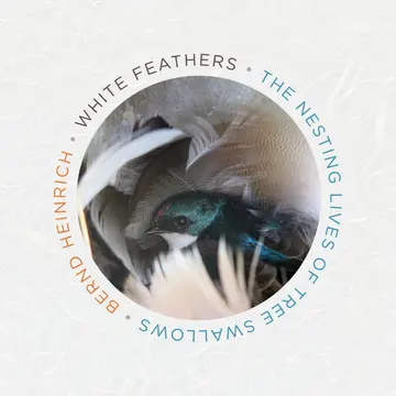 Cover of White Feathers