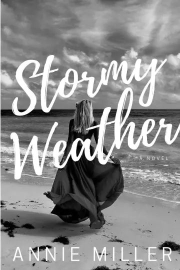 Cover of Stormy Weather