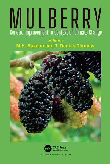 Cover of Mulberry
