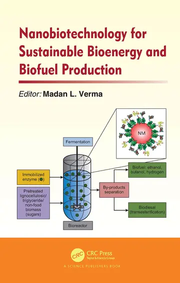 Cover of Nanobiotechnology for Sustainable Bioenergy and Biofuel Production