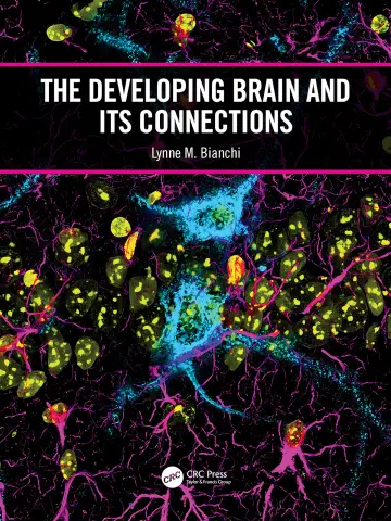 Cover of The Developing Brain and Its Connections