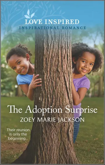 Cover of The Adoption Surprise